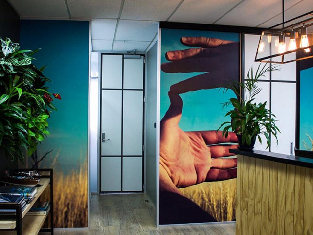 airborne-signs-wall-graphics-&murals