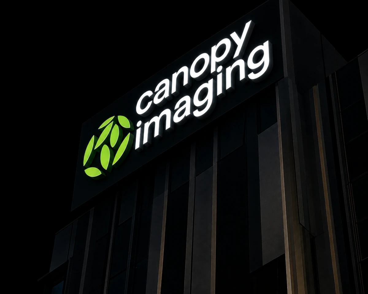 Canopy at night