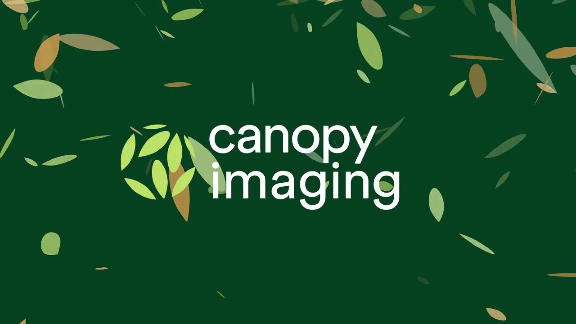 canopy