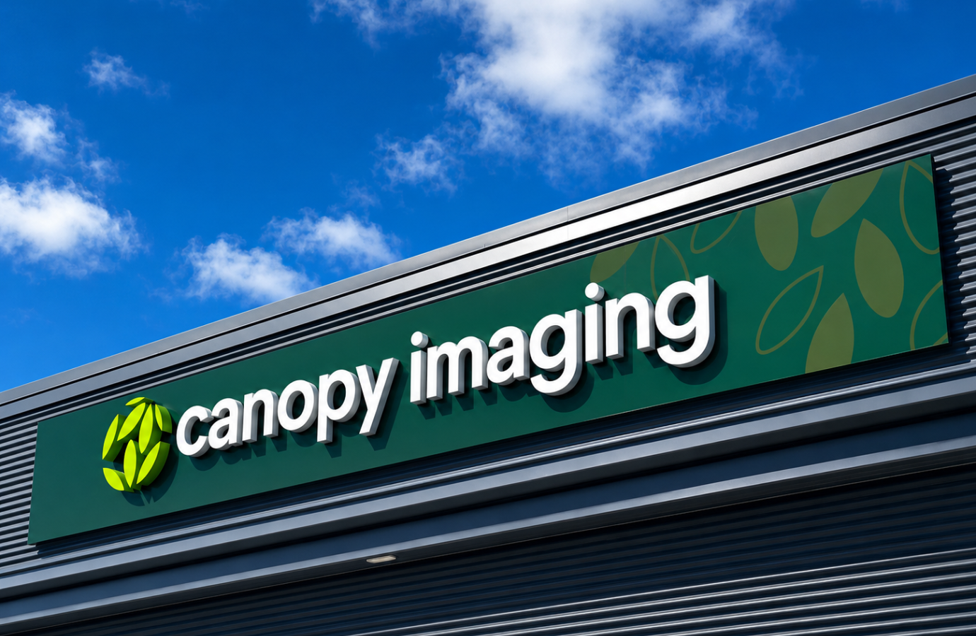 Canopy daytime